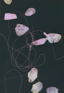 photogram#4