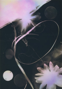 photogram#6